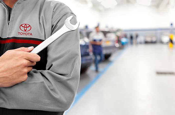 Japon Grubunda Uzman 